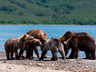 Fauna de lago Baikal